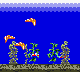 Aqualife screenshot 3 for GameBoy Color